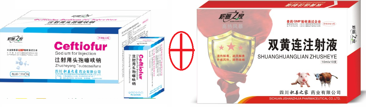 高熱風(fēng)暴組合1.png