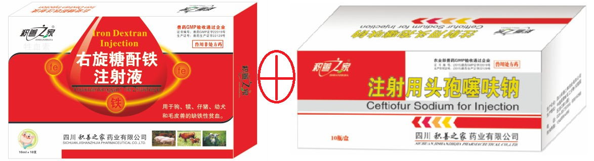 補鐵組合.png