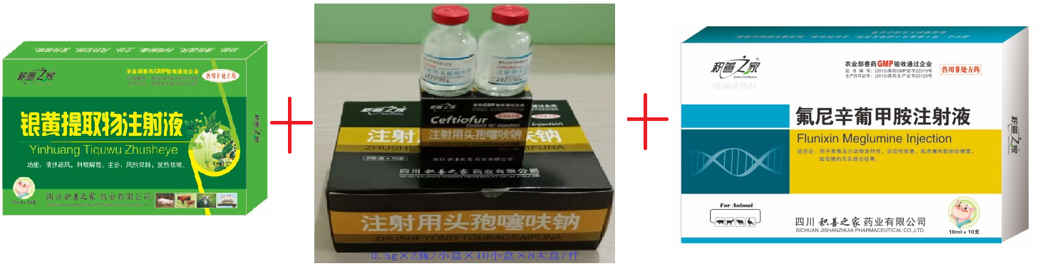 銀黃組合.png