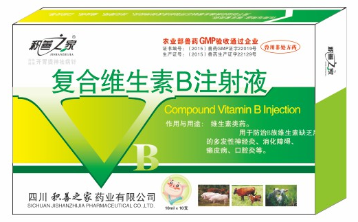 復(fù)合維生素B注射液.png