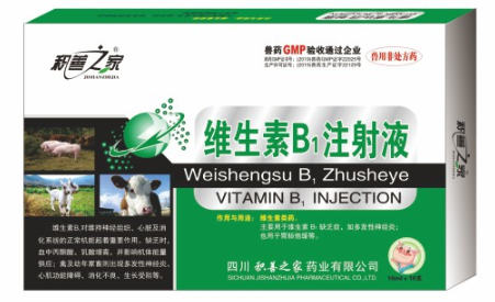 維生素B1注射液.png