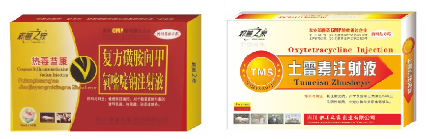 熱毒藍康組合.png