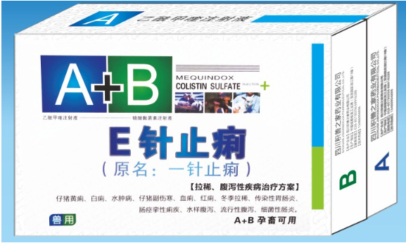 E針止痢.png
