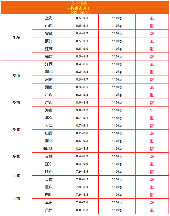 6.22豬價.png