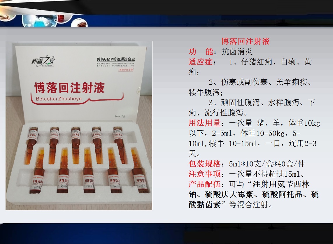 53、博落回注射液.jpg