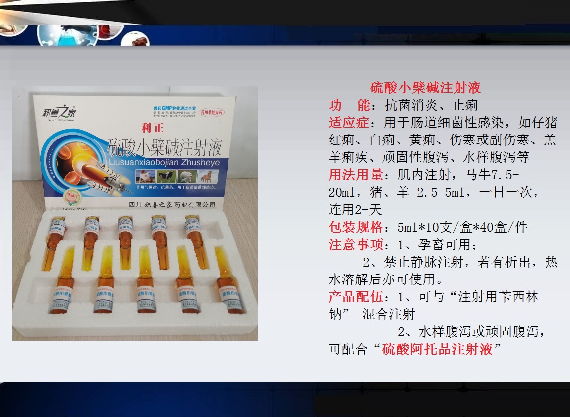 55、硫酸小檗堿注射液.jpg